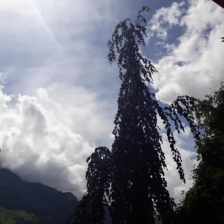 Gotthelf Gartenstudio, Ferien Mit Hund Lägenhet *