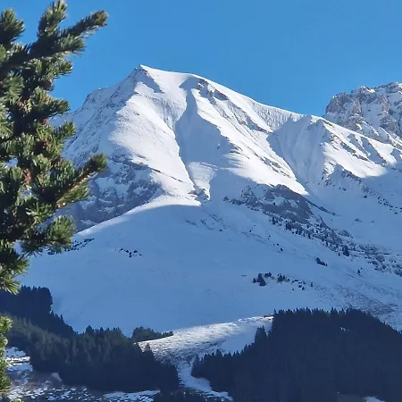 Lägenhet Gotthelf Gartenstudio, Ferien Mit Hund