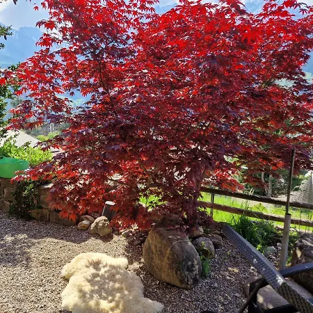 Apartment Gotthelf Gartenstudio, Ferien Mit Hund *