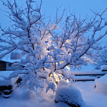 Gotthelf Gartenstudio, Ferien Mit Hund