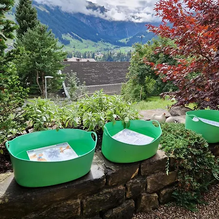 Gotthelf Gartenstudio, Ferien Mit Hund * Adelboden