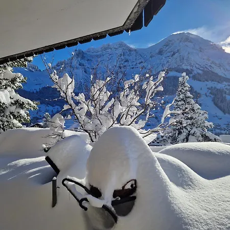 Gotthelf Gartenstudio, Ferien Mit Hund Lägenhet Adelboden