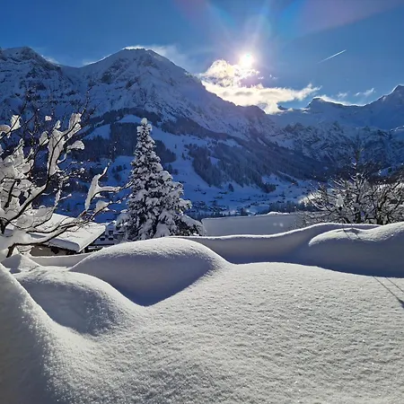 Gotthelf Gartenstudio, Ferien Mit Hund Daire *