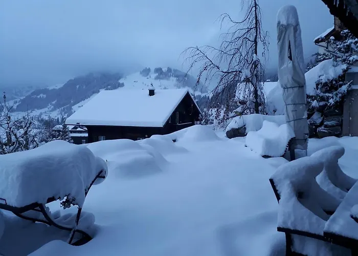 Daire Gotthelf Gartenstudio, Ferien Mit Hund