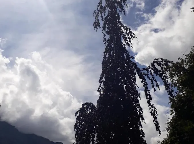 Gotthelf Gartenstudio, Ferien Mit Hund Lejlighed *