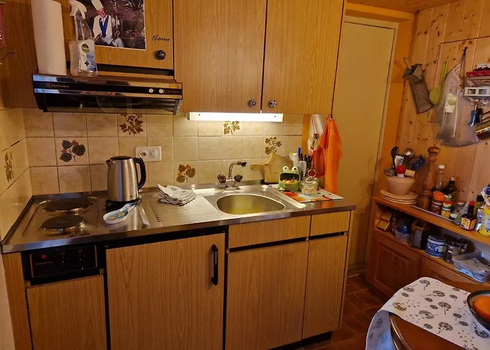 Daire Gotthelf Gartenstudio, Ferien Mit Hund Adelboden