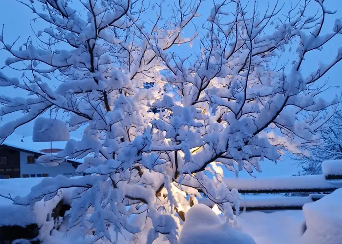 Gotthelf Gartenstudio, Ferien Mit Hund
