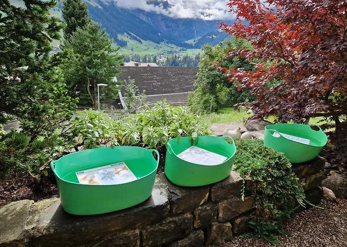 Gotthelf Gartenstudio, Ferien Mit Hund * Adelboden