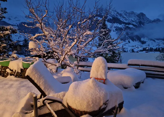 Gotthelf Gartenstudio, Ferien Mit Hund