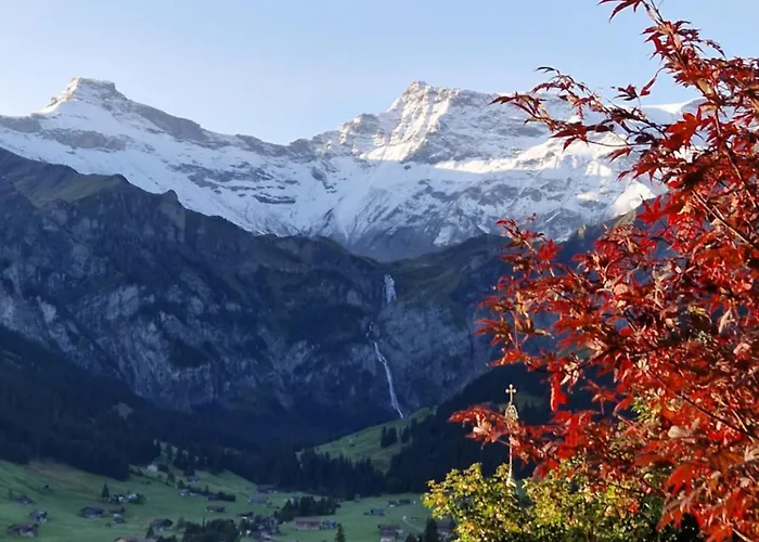 Gotthelf Gartenstudio, Ferien Mit Hund דירה